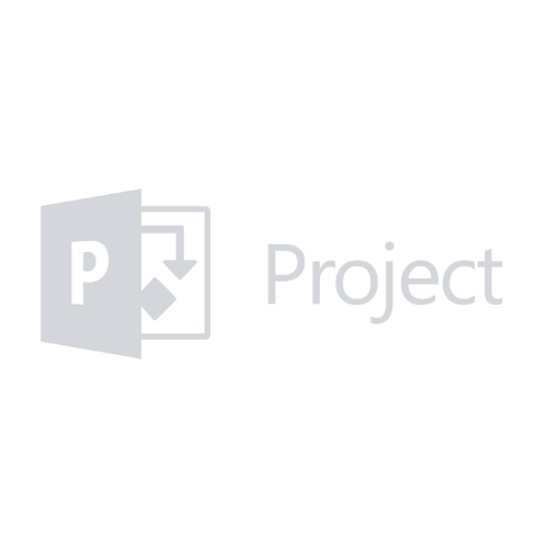 MS Project